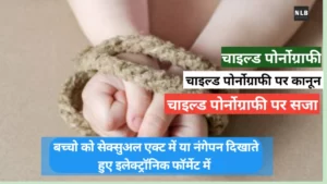 साइबर क्राइम पर कानून