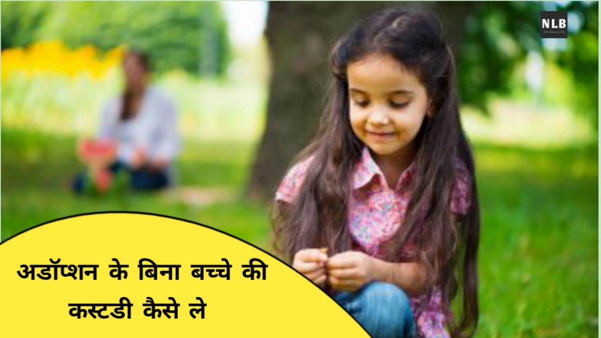 अडॉप्शन के बिना बच्चे की कस्टडी कैसे ले