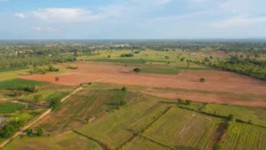 पैतृक संपत्ति का चित्र